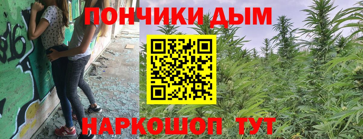 Шишки марихуана марихуана Железноводск